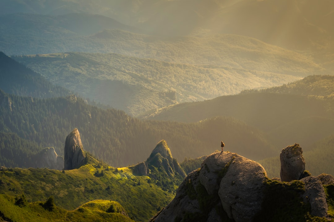 The Great Outdoors: Embracing Nature for Mental Clarity